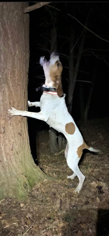 Resized_IMG_4588 (1)