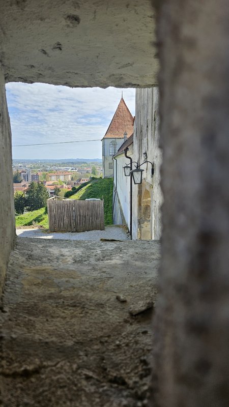 Slika