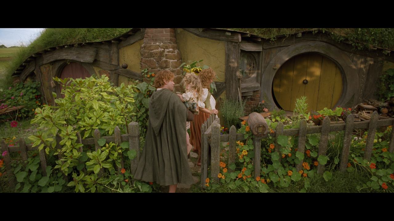 The Lord of the Rings- The Return of the King (EXT.) PT. 2.mkv_snapshot_01.53.15_[2020.12.19_22.16.1