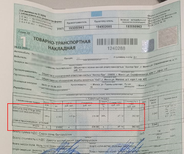 ������ ������ ��� ��������