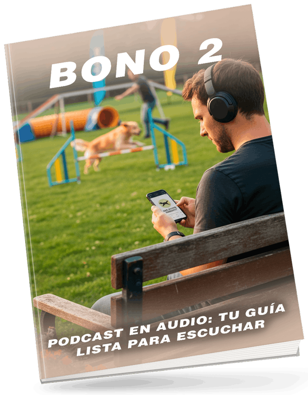 Bono 2