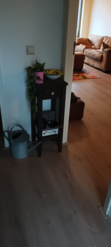 20230112-155439.jpg