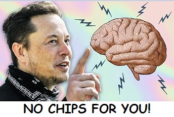 Elon-Brain-Chip.jpg
