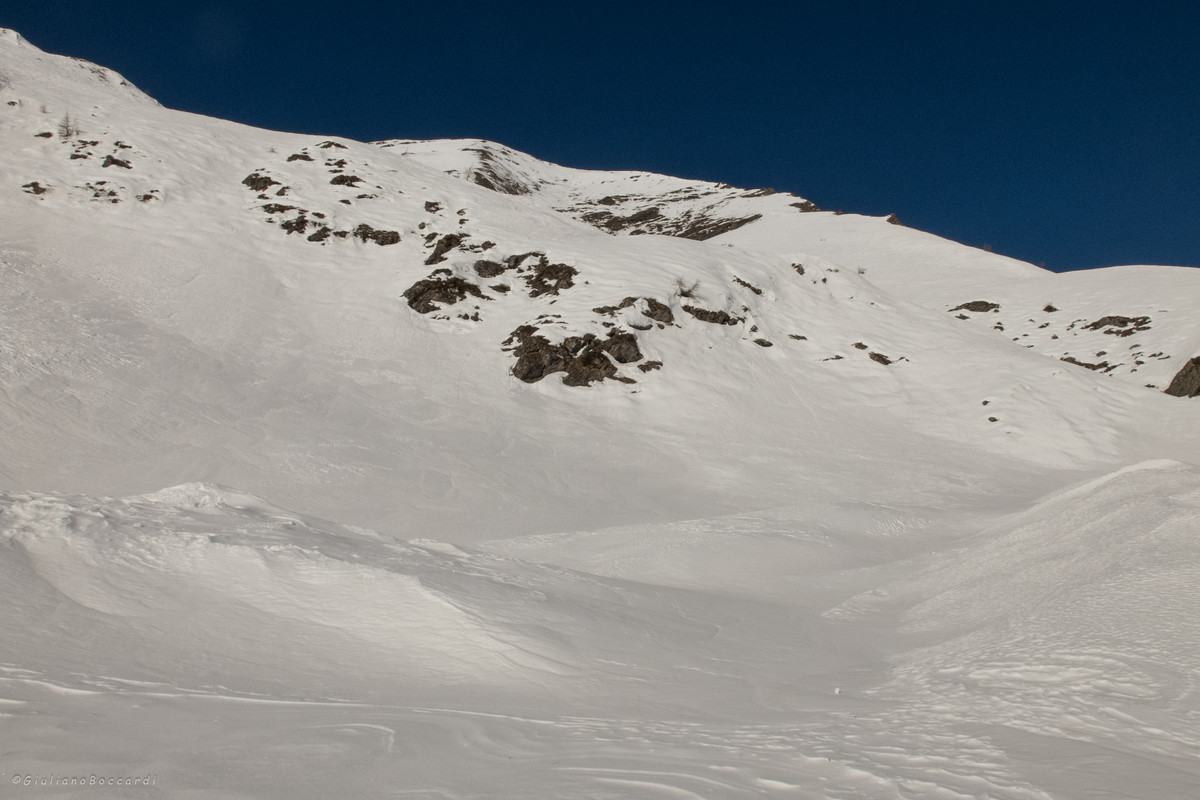 DSCF0667