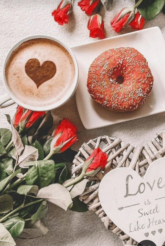 Screenshot_20240203_212010_Pinterest