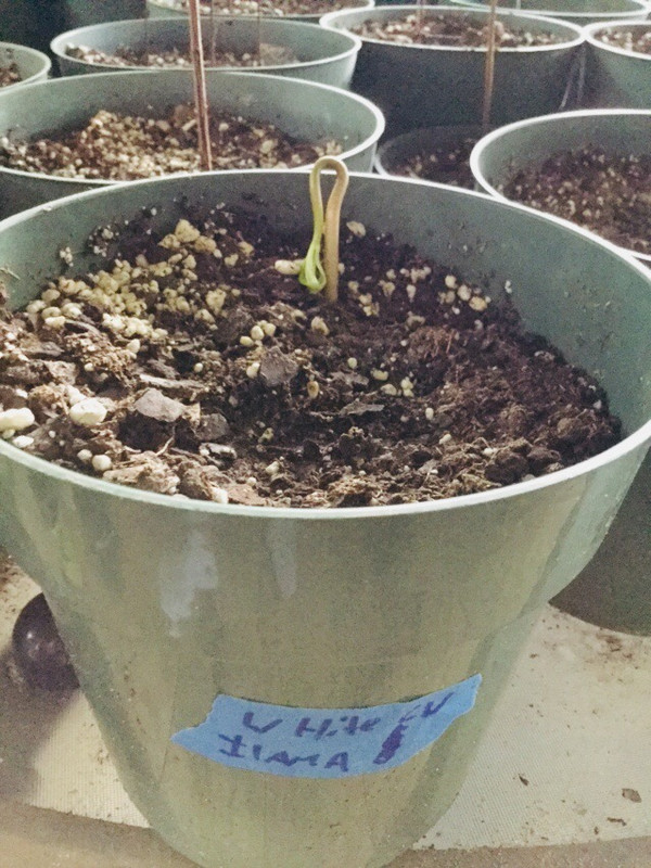 11F1F502-74D9-40F3-99C0-72FE9D0BE923