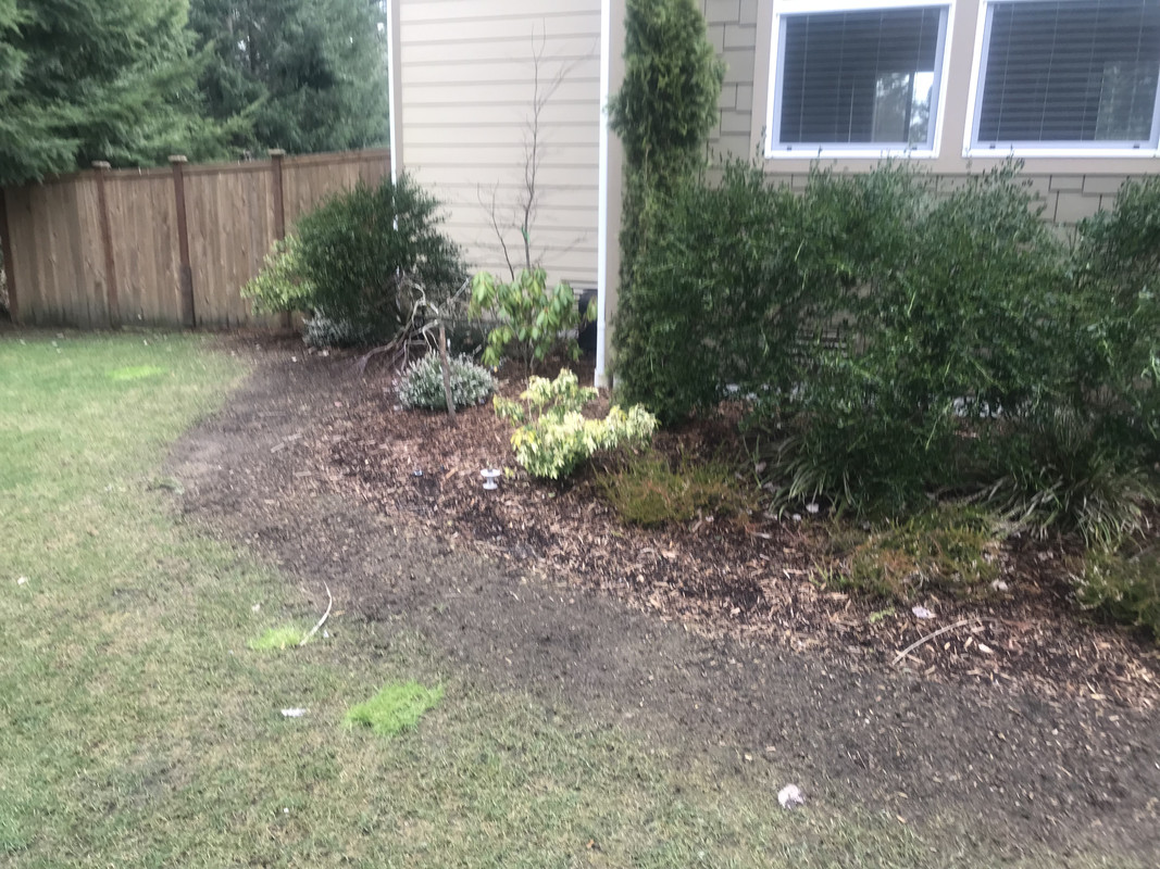 8AA2A10B-538F-42FD-92D0-CD20C55AEB1E