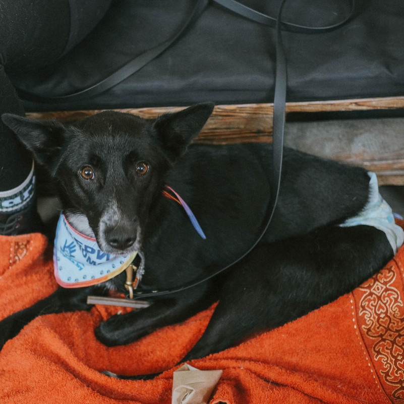 DD7E5216-1DE8-4D04-BDE5-2C8E54C15D3A