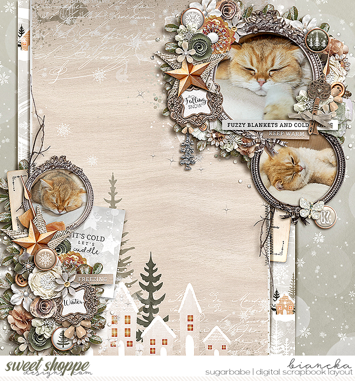 biancka-redivy-AWinter-Story-Cozy-Days-banner.jpg