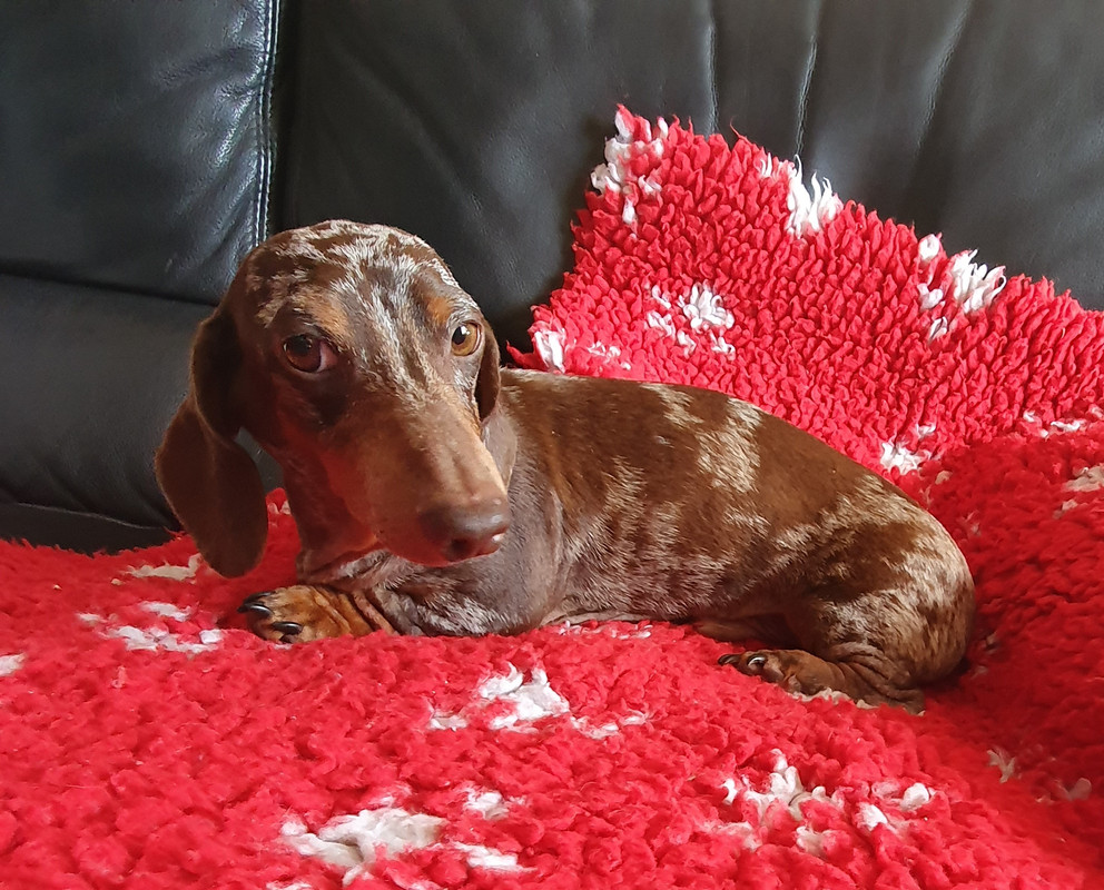 [Image: 20211008-154658.jpg]