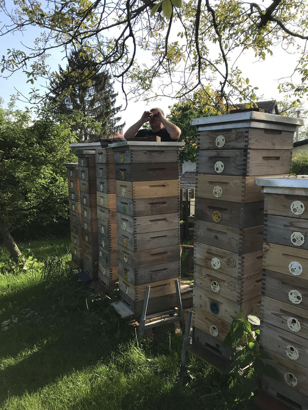 ADB00357-751A-4CC9-B911-856028B670EB