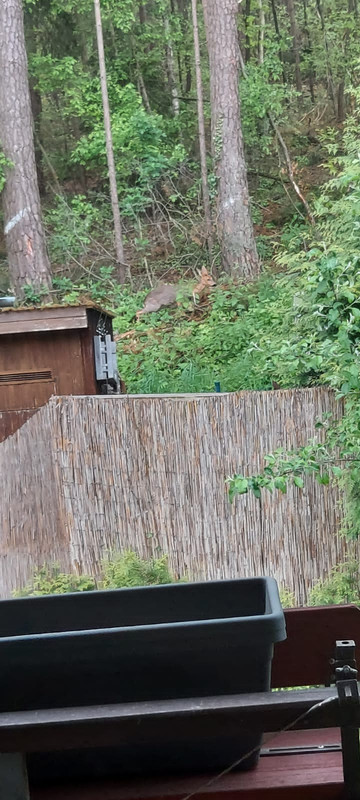 DED09BCD-4655-4A67-8B53-D8D5D054FB25