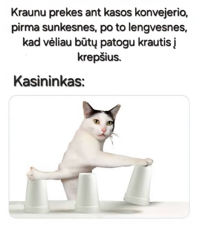 Paveikslėlis