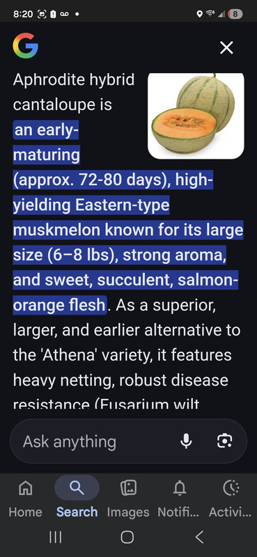 Screenshot 20260219 202022 Google