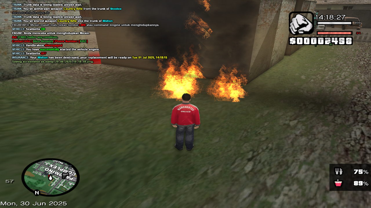 samp-29-06-2025-19-18-13.png
