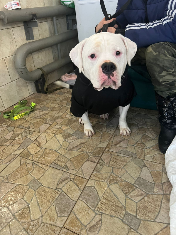 WhatsApp Image 2024-01-16 at 11.10.56 (1)