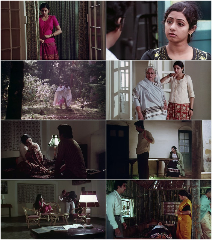 Sadma (1983) Hindi Full Movie HD ESub screenshot