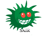 sairrr.png