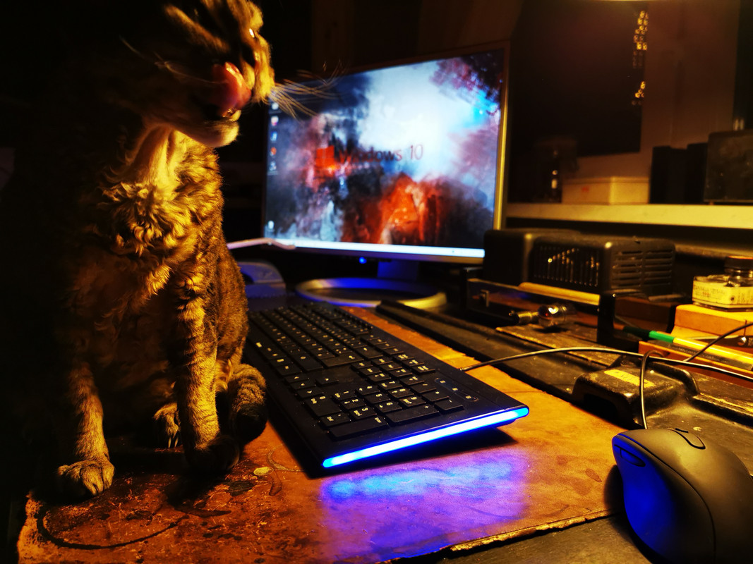 0D60EEE5-D437-40D8-8D0E-FF9D59551A3E