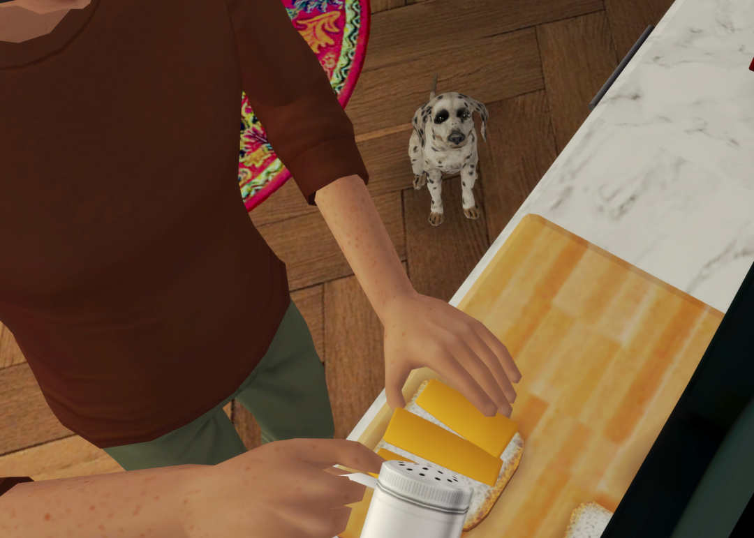 Sims2-EP9-RPC-2024-01-05-21-44-45-58