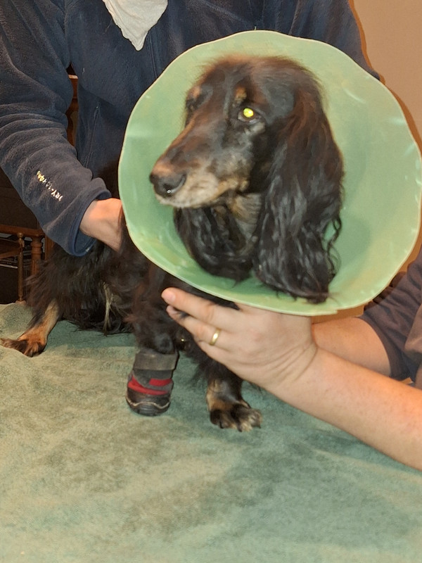 [Image: 20231128-172257.jpg]