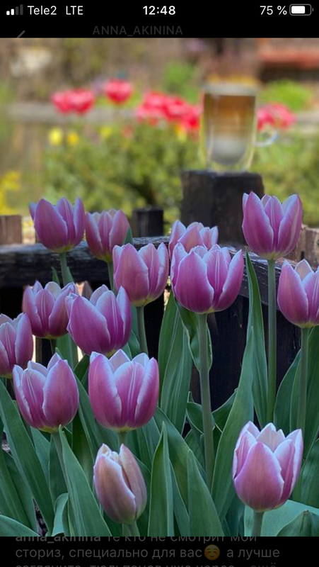 DCE70FA5-9AE6-419F-A55F-ED810C0749EC