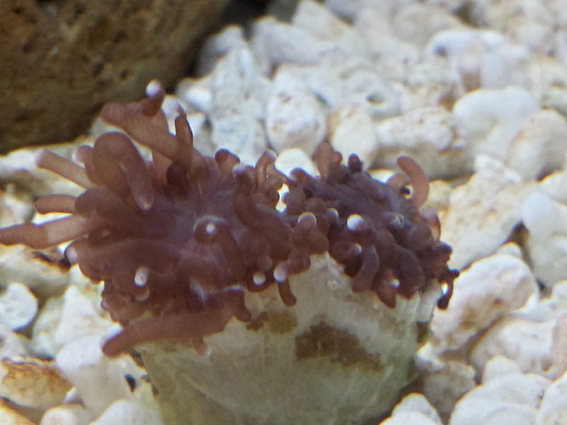 20150517_132526_Richtone(HDR)