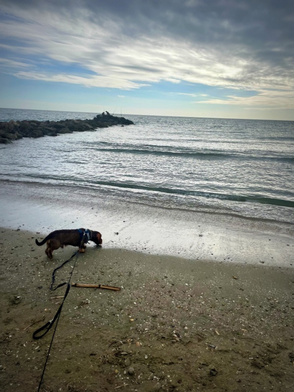 [Image: IMG-2107.jpg]