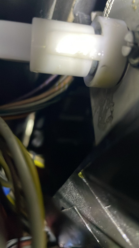 Whats App Image 2026 01 18 at 12 13 18