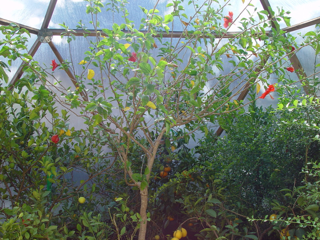 7AAF5B88-1C09-4A61-B0AB-3829D78CAE10_1_105_c