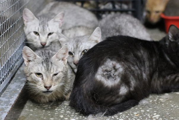 C7008B5C-F3A3-42BE-8A55-27653B5F86F8