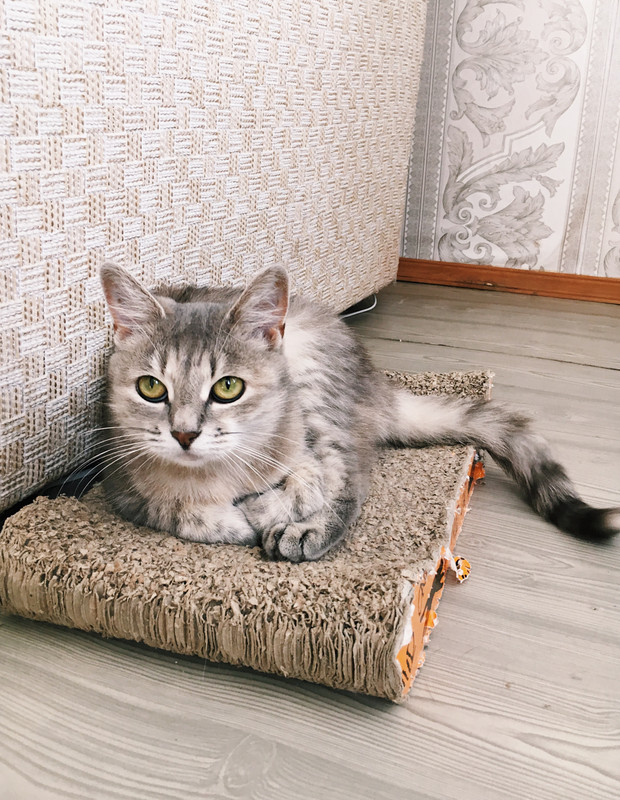 28891104-881E-4D38-A577-E58D4B844704