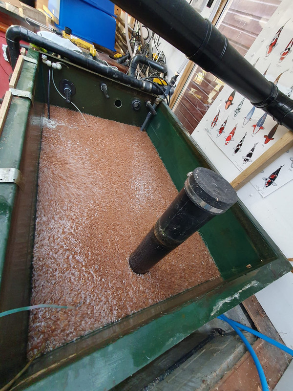 322586807_3368956626674626_8694686343105074194_n