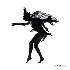 Siamese-Siamese-(2015).jpg