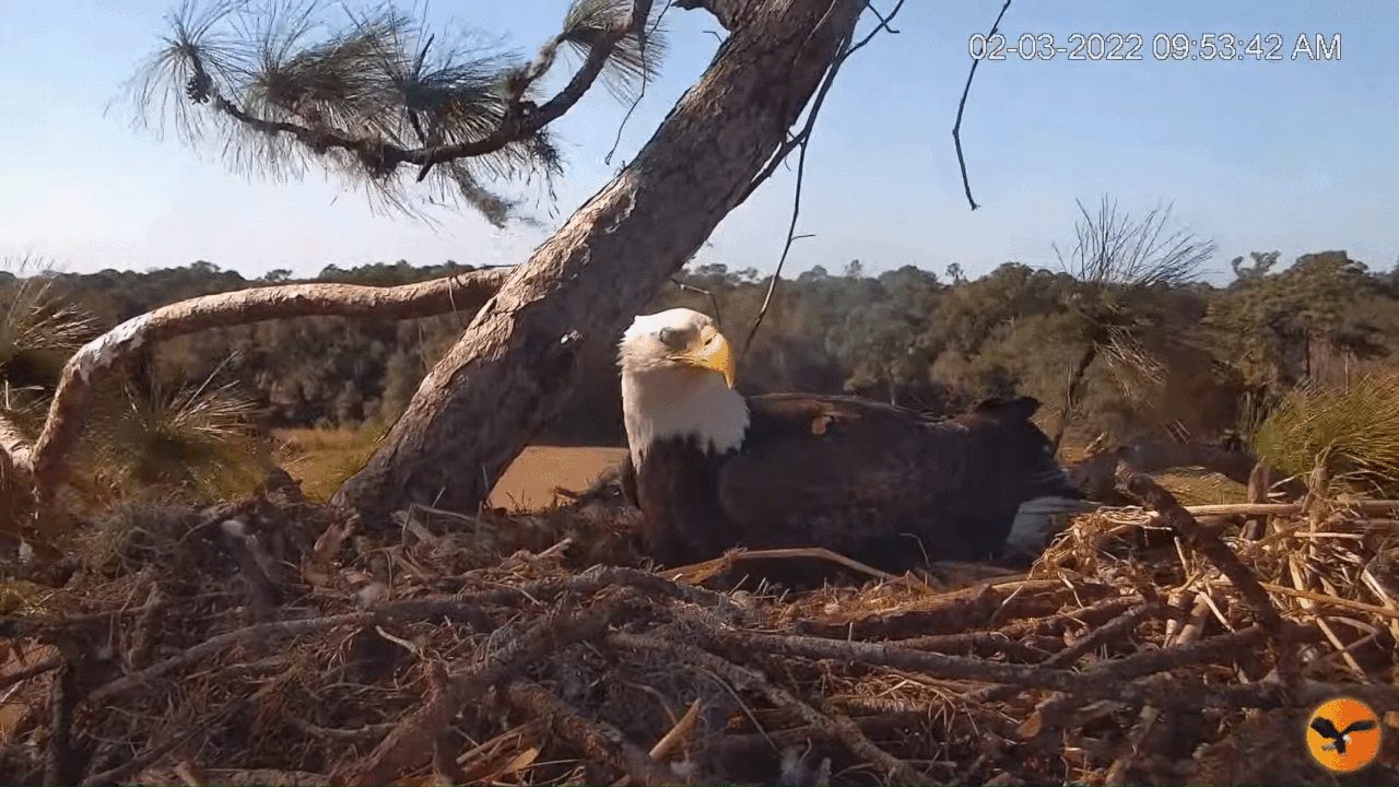 Webp.net-gifmaker (3)