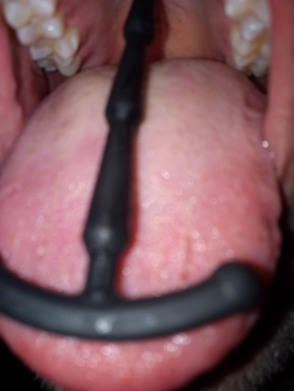 IMG 20260617 210119992