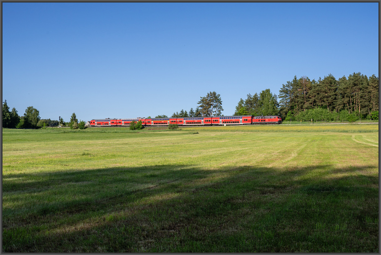 20260529 DSC0938