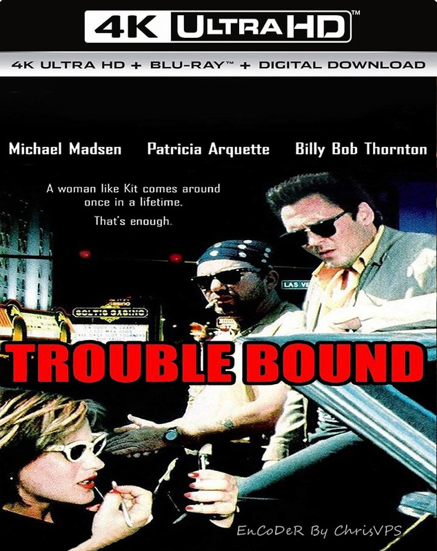Kłopotliwy bagaż / Trouble Bound (1993) MULTI.HDR.2160p.BDRemux.DTS.HD.MA.AC3-ChrisVPS / LEKTOR i NAPISY