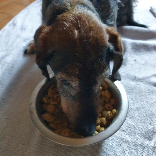 [Image: 20200914-090806.jpg]