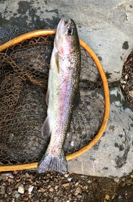 EC7ABF1C-4414-4AD4-9684-1C1513AF5B77