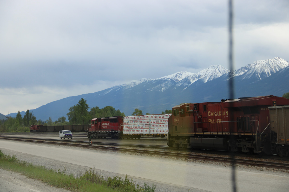 IMG-1401.jpg
