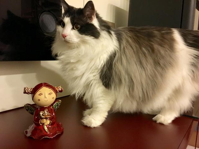 FBDF4847-1-F0-F-4-FB6-B664-74-BEAFE07970