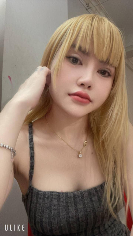 alexistogel