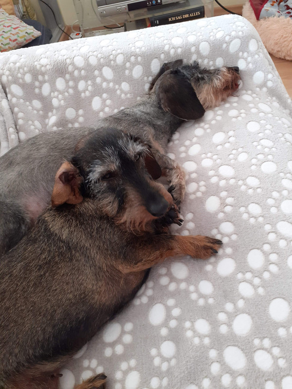 [Image: 20240413-160715.jpg]