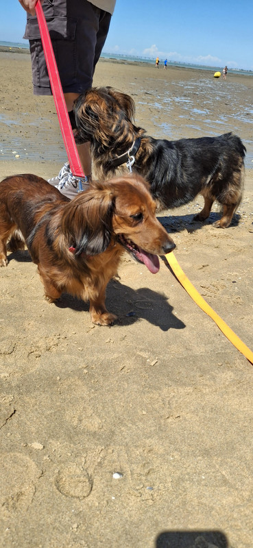 [Image: unnamed-2.jpg]