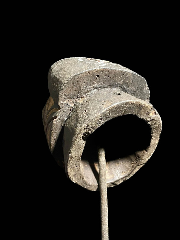 large image 8