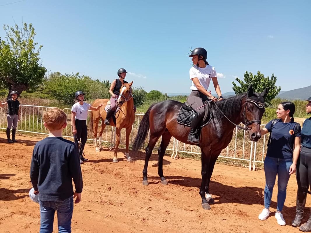 ιπποδρομιες-πλατυ-2025-1