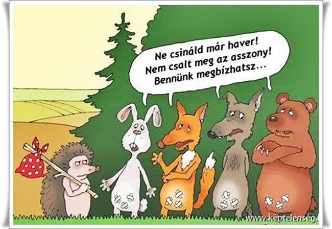 https://i.postimg.cc/htvp3Sbd/ne-csinald-mar.jpg