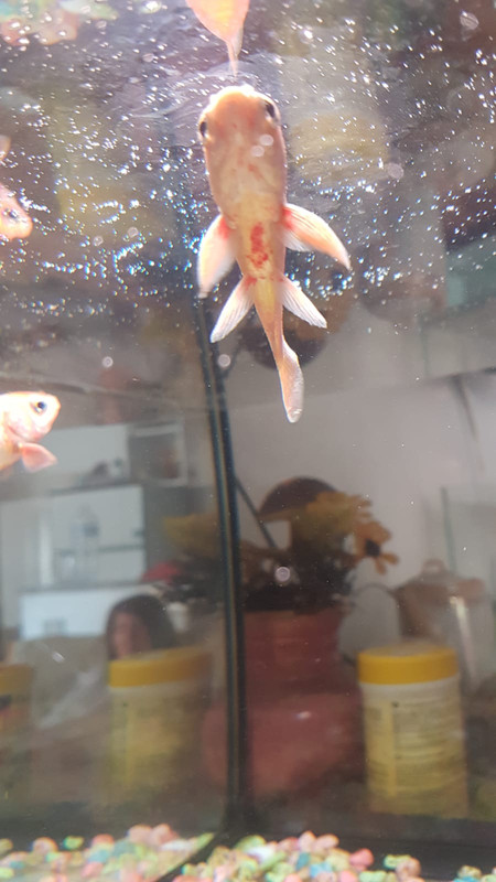 WhatsApp Image 2021-08-16 at 11.16.00 (1)