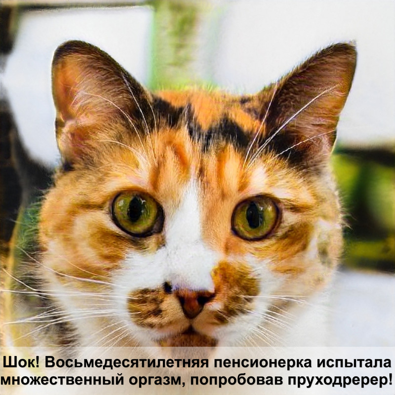 как подстричь котенку когти